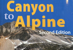 Read more about the article Canyon to Alpine Lillooet Hiking Guide