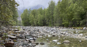 Read more about the article Campground Trails