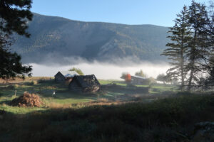 Read more about the article Cliff & Gorge Vineyards