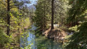 Read more about the article Naxwit Park